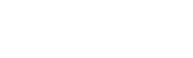 steiger facial plastic surgery logo 1