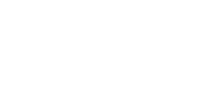 ceo blog nation logo