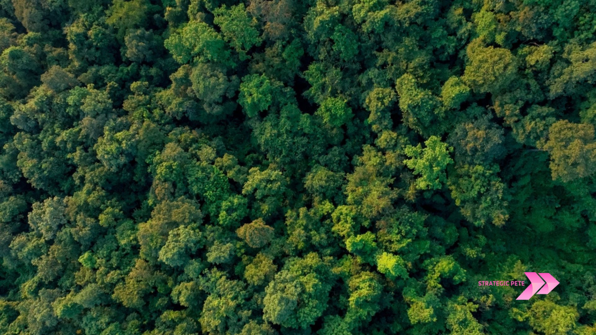 how to market a tree service business
